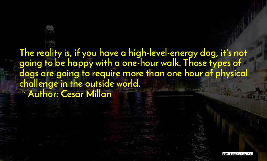 Happy Hour Quotes By Cesar Millan