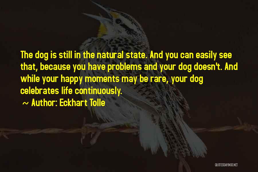 Happy Moments Quotes By Eckhart Tolle