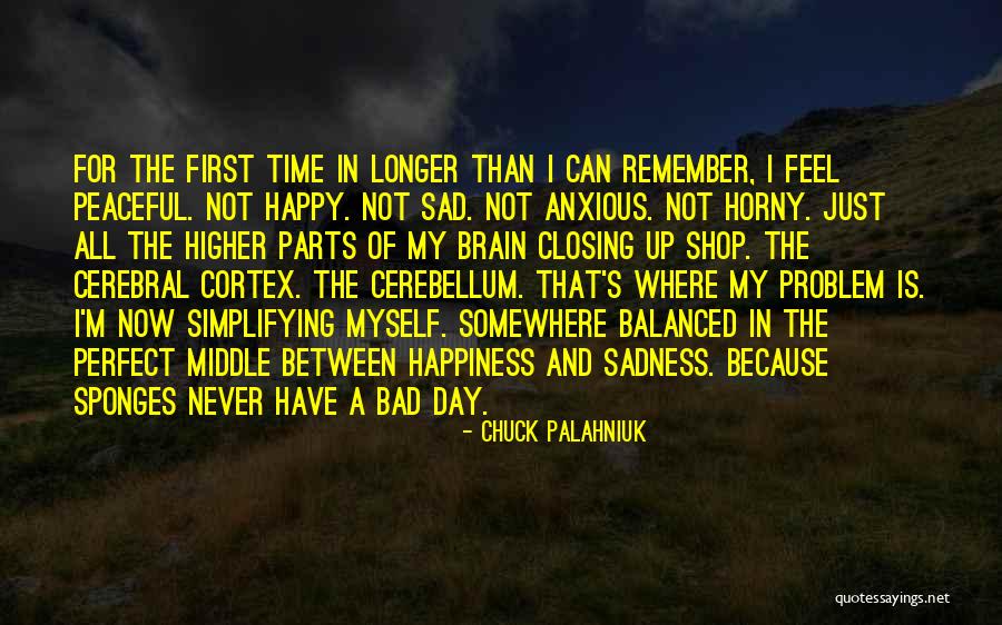 Happy Not Perfect Quotes By Chuck Palahniuk Happy Not Perfect Quotes By Chuck Palahniuk