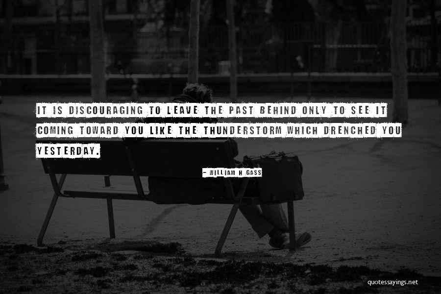 Happy Playgrounds Quotes By William H Gass Happy Playgrounds Quotes By William H Gass