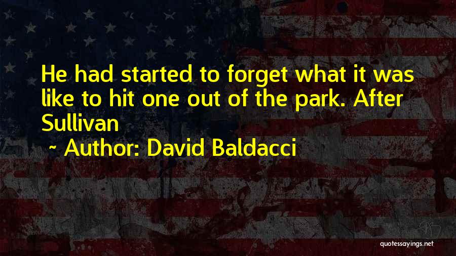 Happy Pop Punk Quotes By David Baldacci
