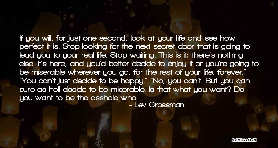 Happy Right Now Quotes By Lev Grossman