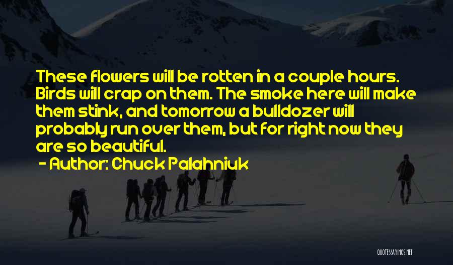 Happy Saint Nicholas Day Quotes By Chuck Palahniuk