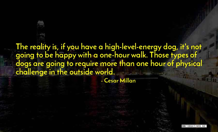 Happy The Dog Quotes By Cesar Millan Happy The Dog Quotes By Cesar Millan
