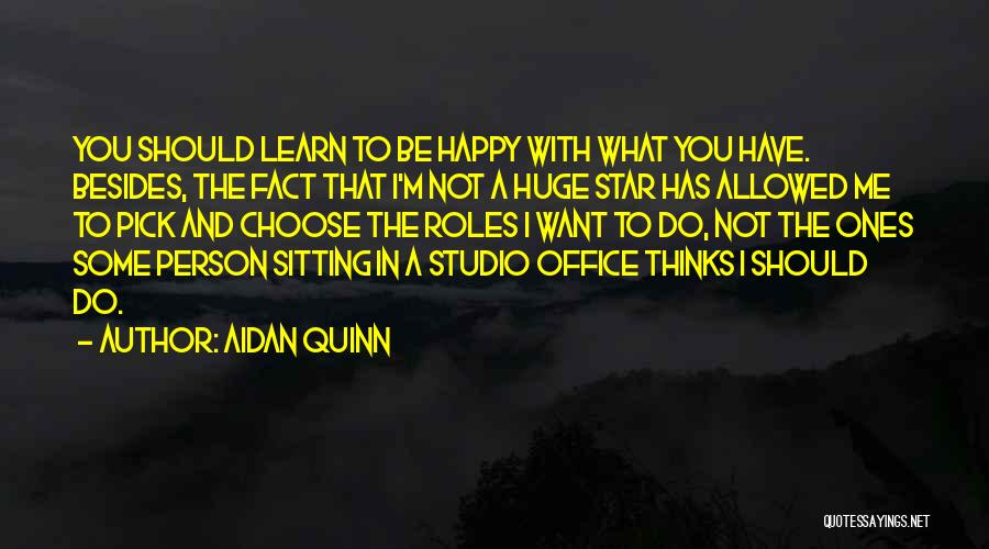 Happy To Learn Quotes By Aidan Quinn