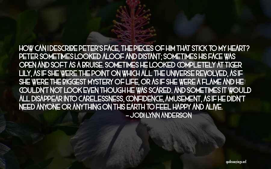 Happy Universe Quotes By Jodi Lynn Anderson Happy Universe Quotes By Jodi Lynn Anderson