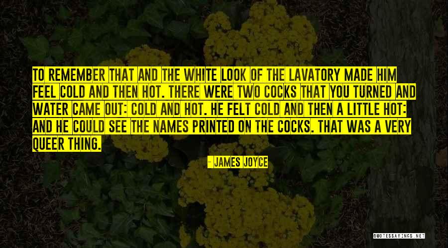 Happy Vday Quotes By James Joyce Happy Vday Quotes By James Joyce