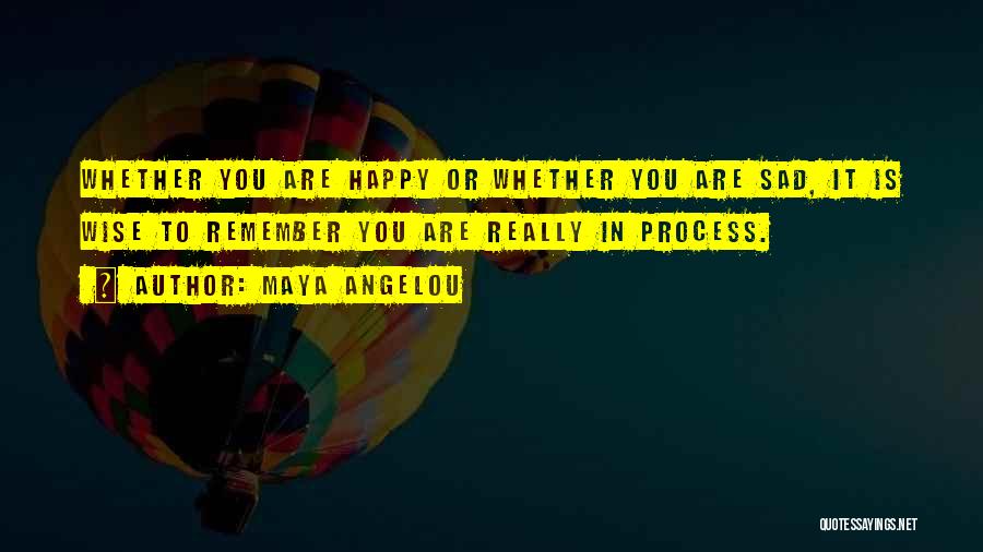 Happy Wise Quotes By Maya Angelou