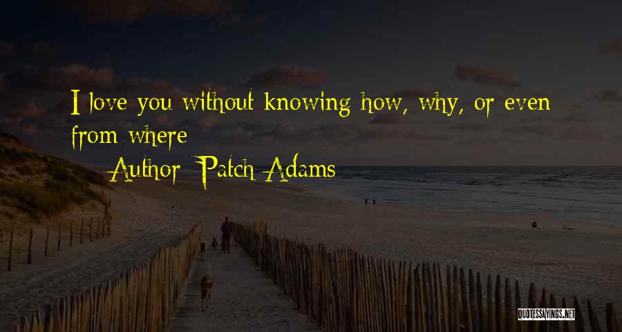 Happy Without You Quotes By Patch Adams