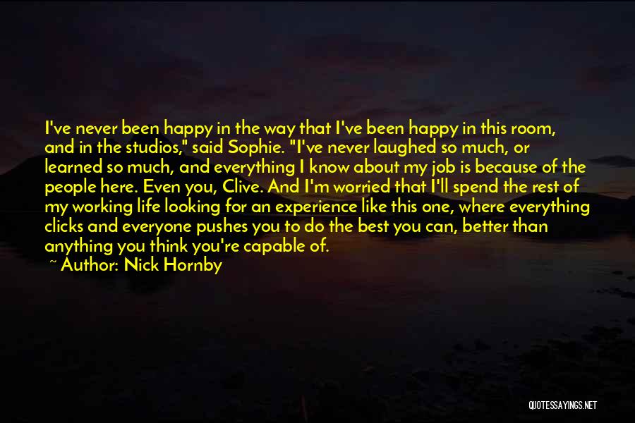 Happy Working Quotes By Nick Hornby