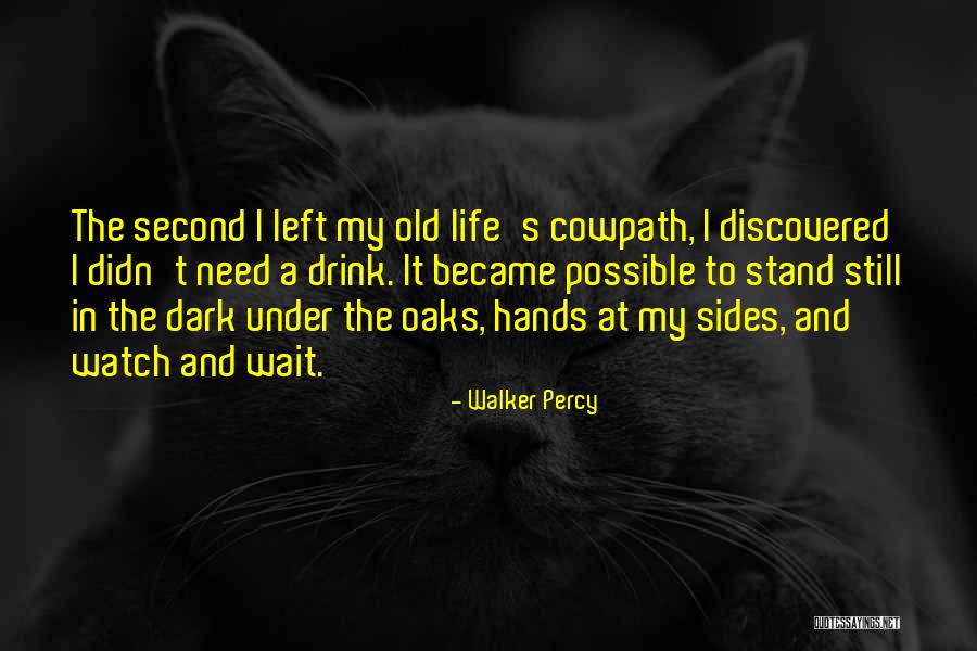 Hapsari Sulistyorini Quotes By Walker Percy Hapsari Sulistyorini Quotes By Walker Percy