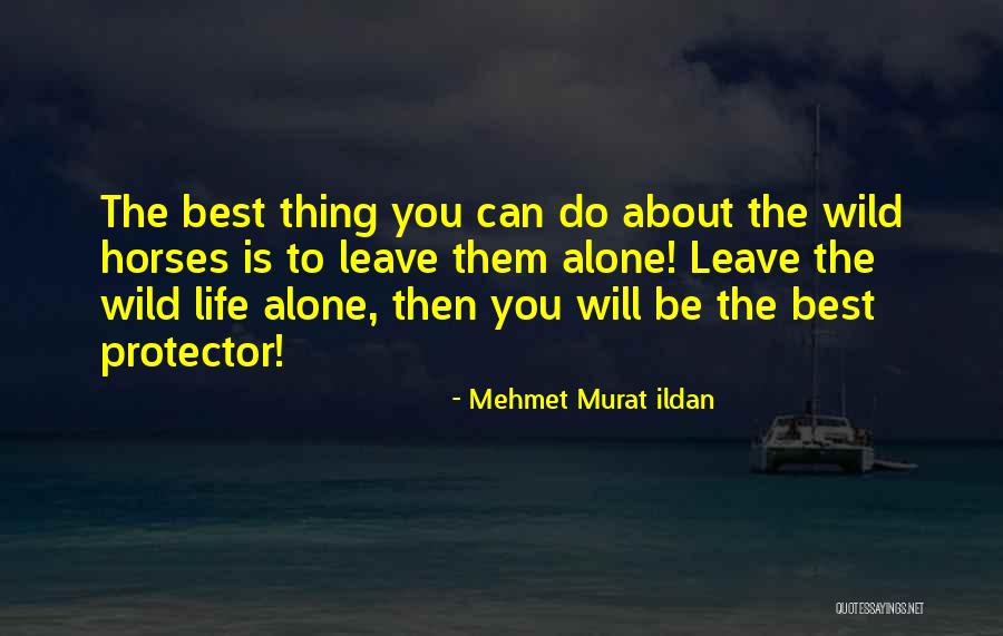Hara Akiha Quotes By Mehmet Murat Ildan Hara Akiha Quotes By Mehmet Murat Ildan