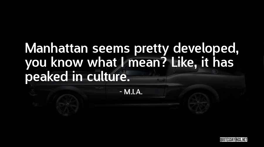 Haraama Quotes By M.I.A. Haraama Quotes By M.I.A.