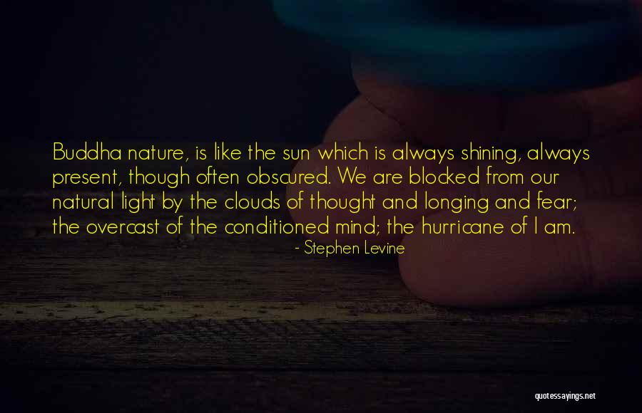 Haracic Asim Quotes By Stephen Levine Haracic Asim Quotes By Stephen Levine