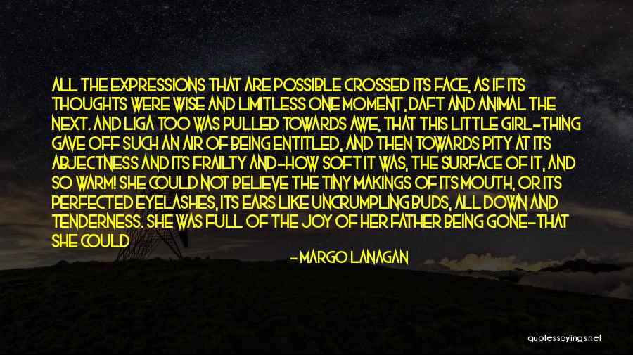 Harangued Quotes By Margo Lanagan Harangued Quotes By Margo Lanagan