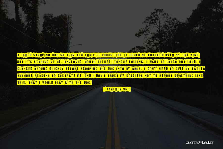 Harassers Jail Quotes By Tahereh Mafi Harassers Jail Quotes By Tahereh Mafi