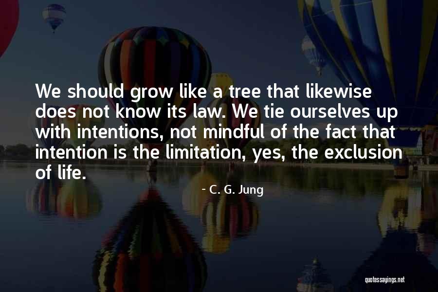 Harcama Y Netim Quotes By C. G. Jung Harcama Y Netim Quotes By C. G. Jung