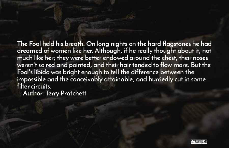 Hard But Not Impossible Quotes By Terry Pratchett