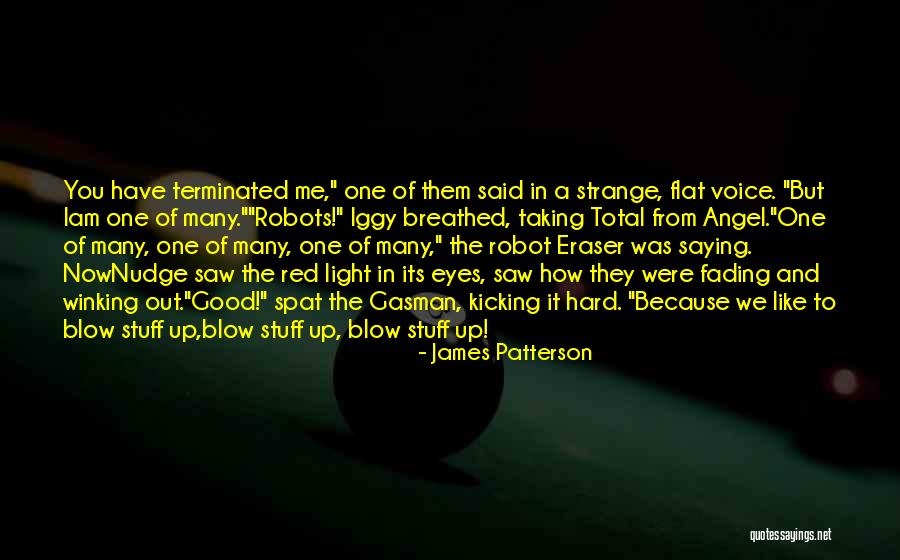 Hard Funny Quotes By James Patterson