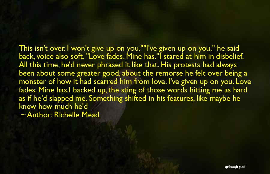 Hard Hitting Love Quotes By Richelle Mead