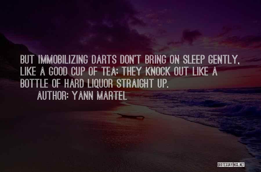 Hard Knock Quotes By Yann Martel