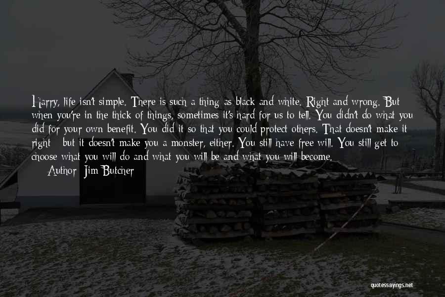 Hard Life Choices Quotes By Jim Butcher