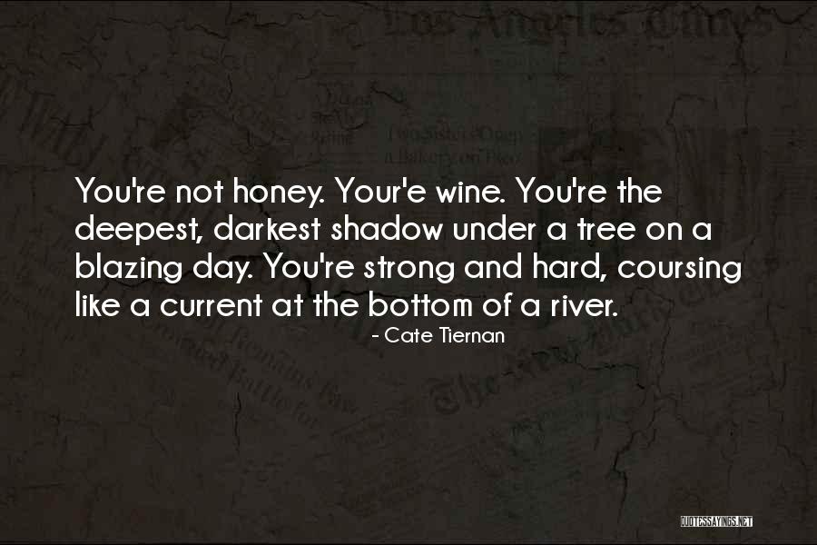 Hard Of Stone Quotes By Cate Tiernan Hard Of Stone Quotes By Cate Tiernan