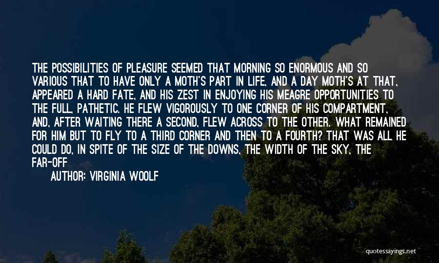 Hard Part Of Life Quotes By Virginia Woolf