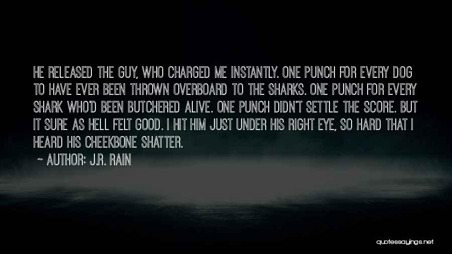 Hard Punch Quotes By J.R. Rain