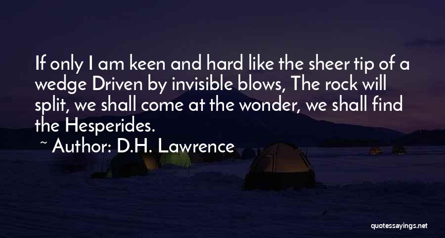 Hard Rock Quotes By D.H. Lawrence