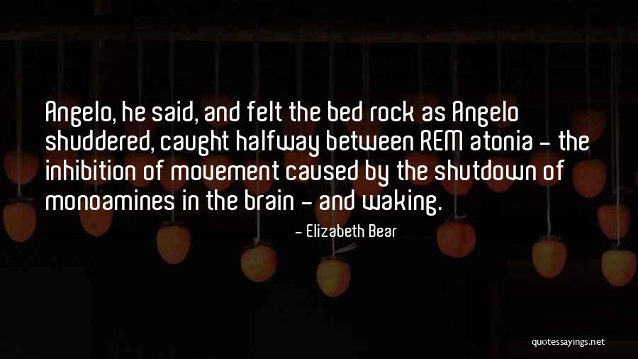 Hard Rock Quotes By Elizabeth Bear