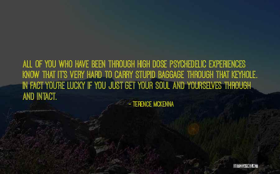 Hard Soul Quotes By Terence McKenna Hard Soul Quotes By Terence McKenna
