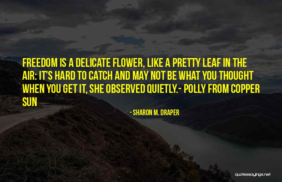 Hard To Catch Quotes By Sharon M. Draper Hard To Catch Quotes By Sharon M. Draper