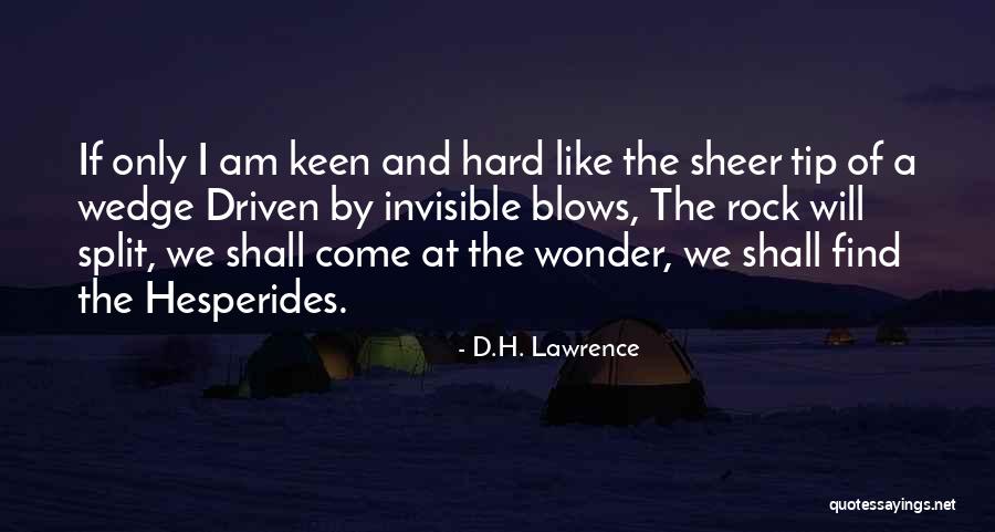 Hard To Find Someone Like You Quotes By D.H. Lawrence Hard To Find Someone Like You Quotes By D.H. Lawrence