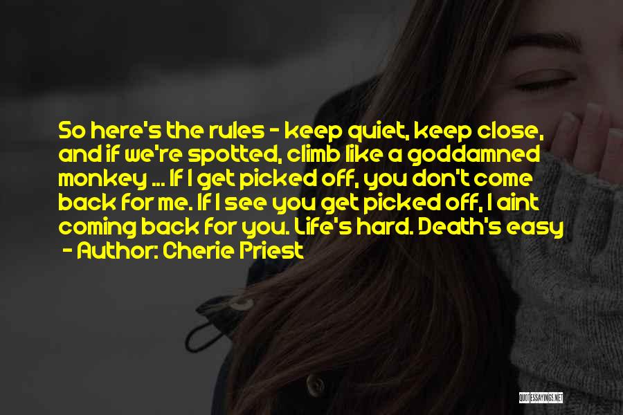 Hard To Keep Quiet Quotes By Cherie Priest