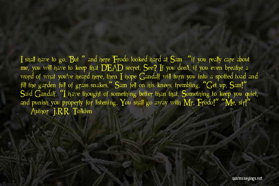 Hard To Keep Quiet Quotes By J.R.R. Tolkien