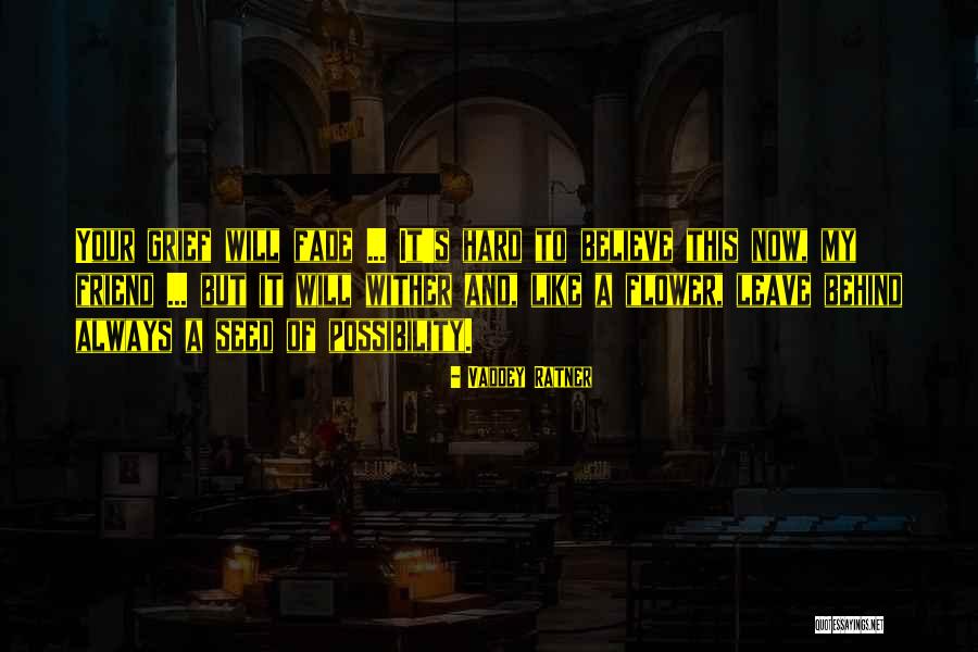 Hard To Leave Quotes By Vaddey Ratner Hard To Leave Quotes By Vaddey Ratner