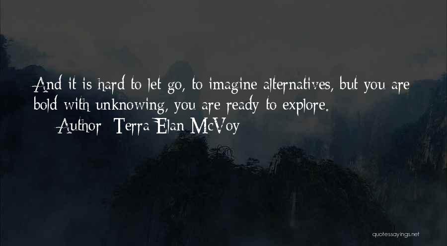 Hard To Let Go Quotes By Terra Elan McVoy