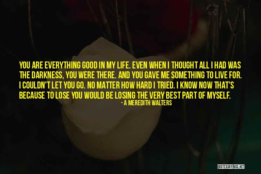 Hard To Lose Someone Quotes By A Meredith Walters Hard To Lose Someone Quotes By A Meredith Walters