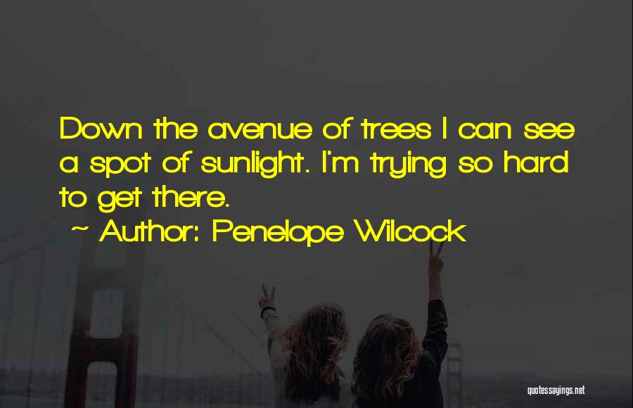 Hard To See Quotes By Penelope Wilcock