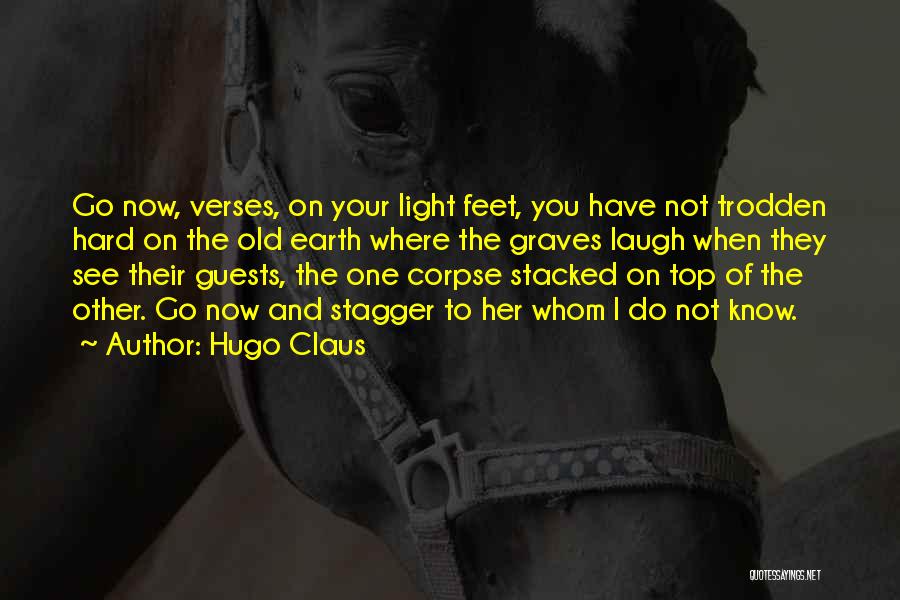 Hard To See The Light Quotes By Hugo Claus