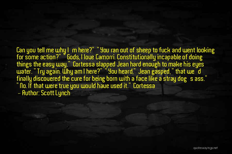 Hard To Tell You I Love You Quotes By Scott Lynch