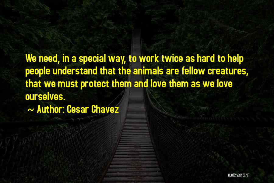 Hard To Understand Love Quotes By Cesar Chavez