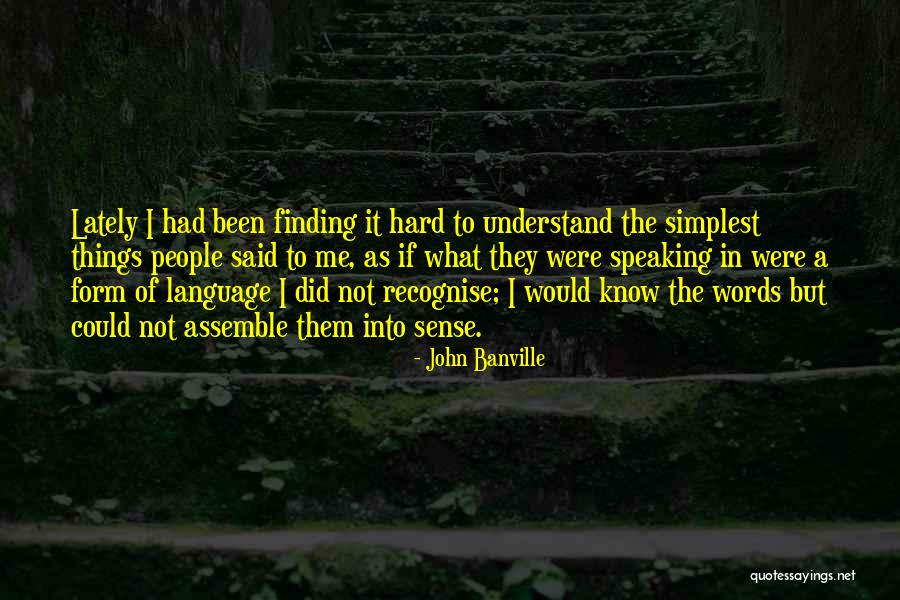 Hard To Understand Me Quotes By John Banville