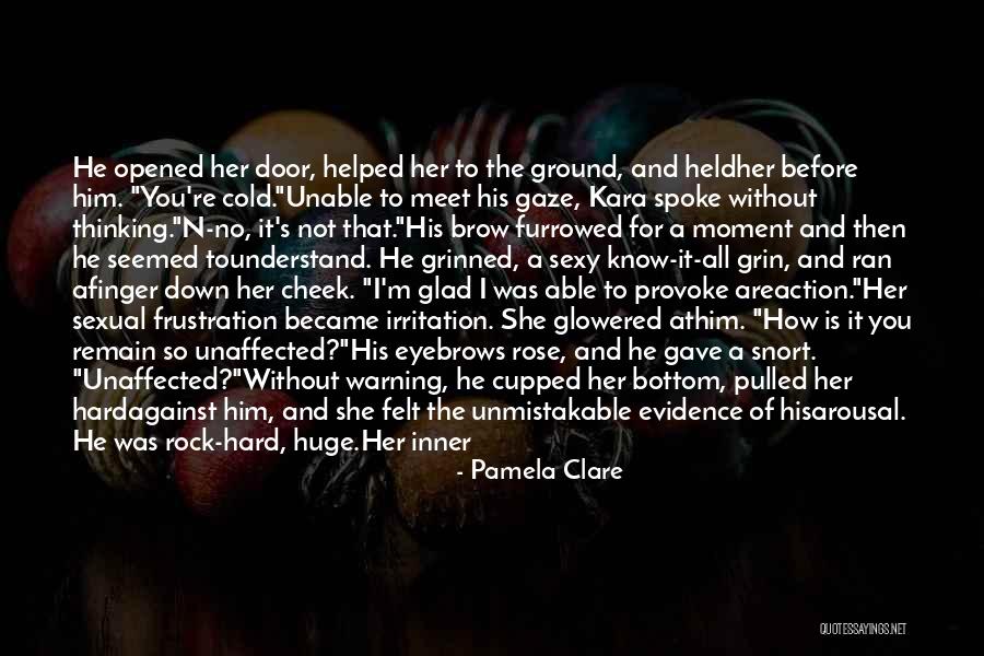 Hard To Understand Me Quotes By Pamela Clare