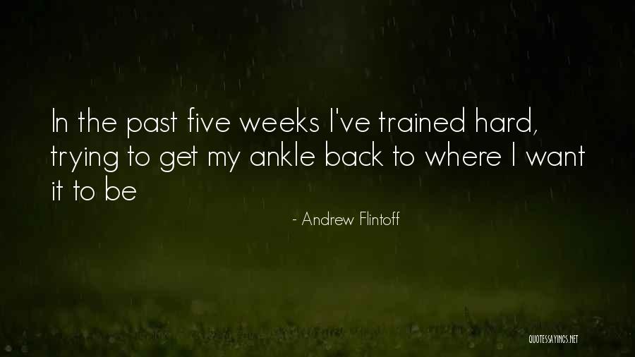 Hard Weeks Quotes By Andrew Flintoff