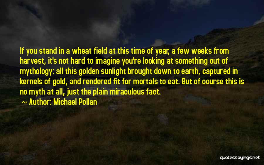 Hard Weeks Quotes By Michael Pollan