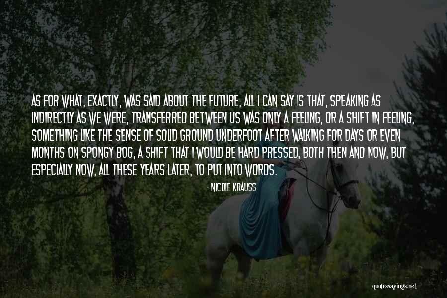 Hard Words Quotes By Nicole Krauss Hard Words Quotes By Nicole Krauss