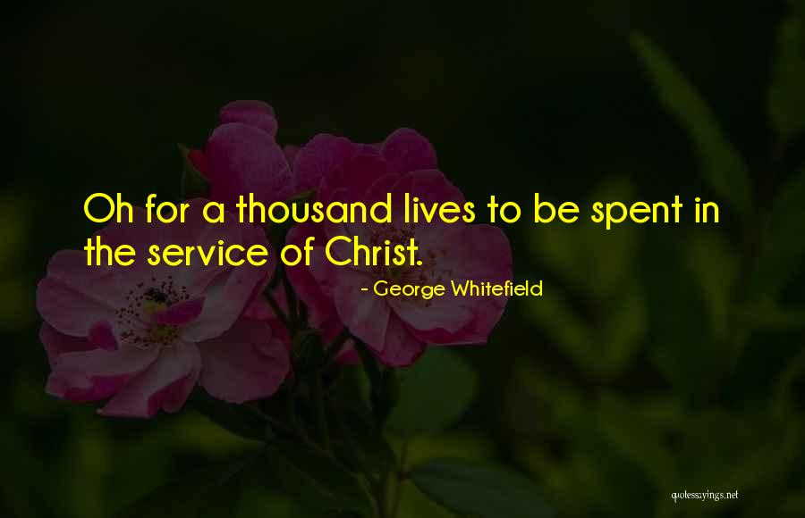 Hard Work And Determination In Business Pinterests Quotes By George Whitefield Hard Work And Determination In Business Pinterests Quotes By George Whitefield