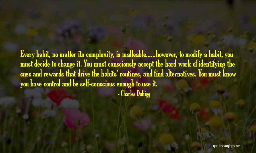 Hard Work And Drive Quotes By Charles Duhigg Hard Work And Drive Quotes By Charles Duhigg
